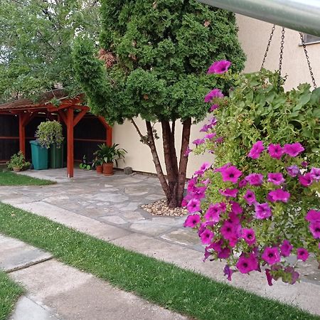 Apartman Ady 6 Senta Esterno foto