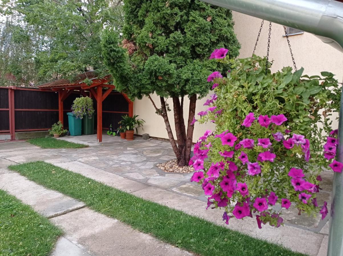 Apartman Ady 6 Senta Esterno foto