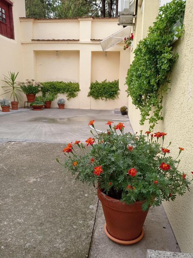 Apartman Ady 6 Senta Esterno foto